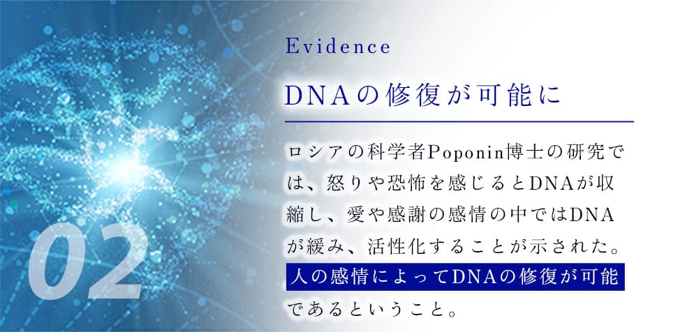 02 Evidence DNAの修復が可能に ロシアの科学者Poponin博士の研究では、怒りや恐怖を感じるとDNAが収縮し、愛や感謝の感情の中ではDNAが緩み、活性化することが示された。人の感情によってDNAの修復が可能であるということ。